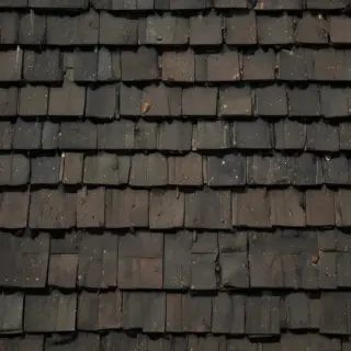 pictures of shingles