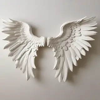 angel wing pictures
