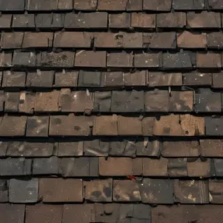 picture of shingles