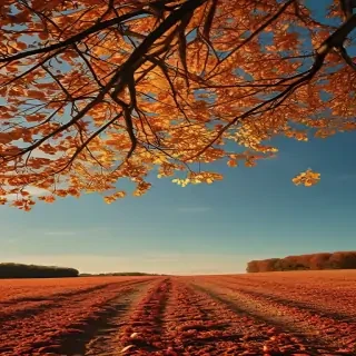 wallpaper autumn iphone