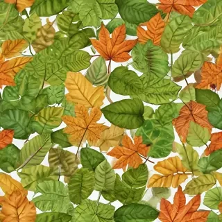 leaves no background
