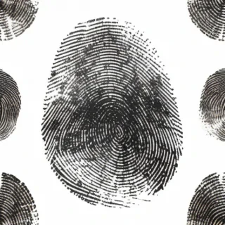 finger print png