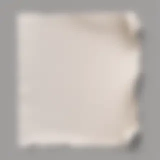ripped paper png transparent