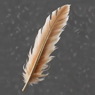 feather png