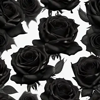 black roses png