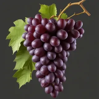 grapes png