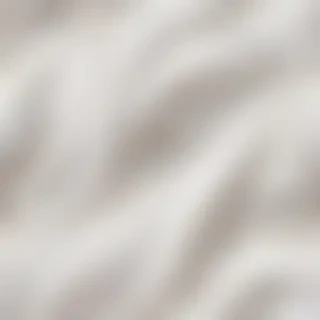 whip cream png