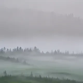 foggy background