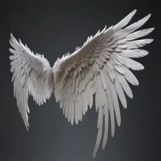 angel wings transparent background