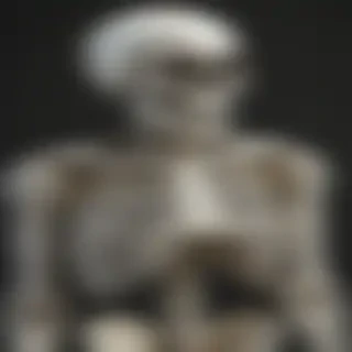 skeleton transparent background