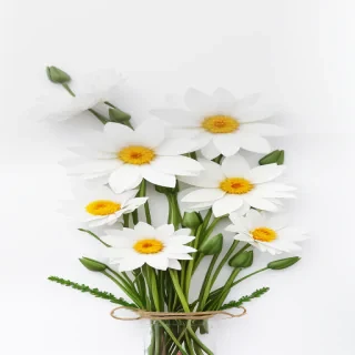 white background with flowers