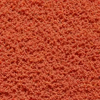 coral color