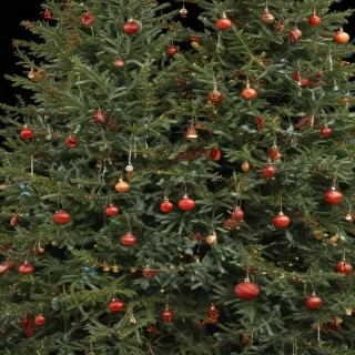 christmas trees transparent background
