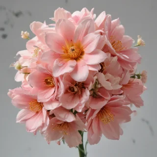 real flower png