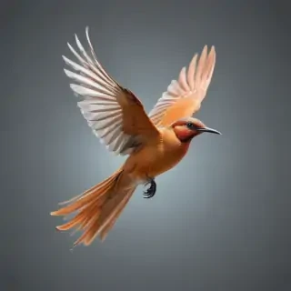 birds flying transparent background