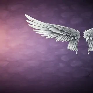 wings background