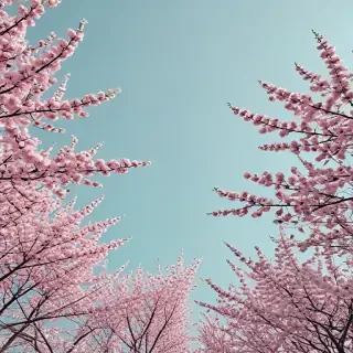 spring aesthetic wallpaper