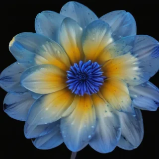 blue flower transparent