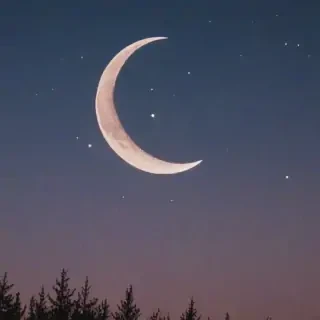 aesthetic crescent moon