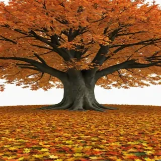 autumn tree png
