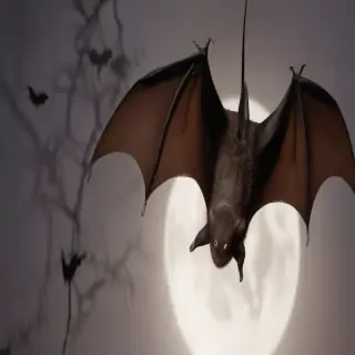pictures of halloween bats