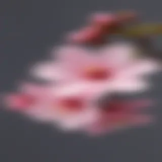 blossom png