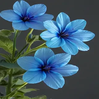 transparent blue flowers