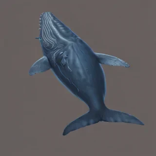blue whale png