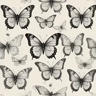 butterflies sketches