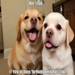 funny photos