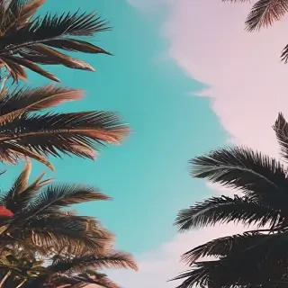 summer backgrounds aesthetic