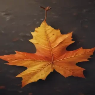 fall leaf png