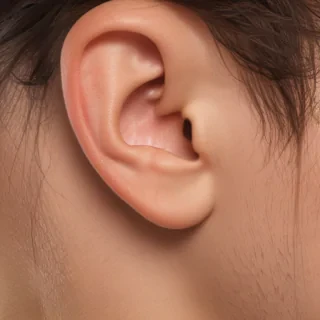 ears png