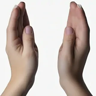 praying hands png transparent