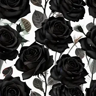 black roses background