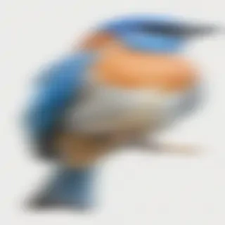 bird transparent