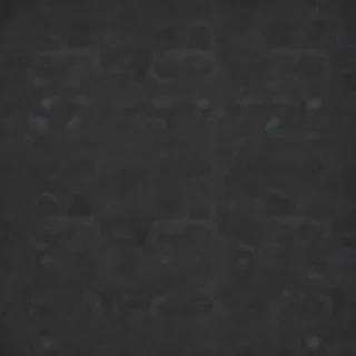 police backgrounds