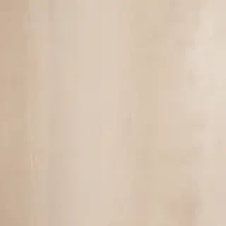 neutral colors background