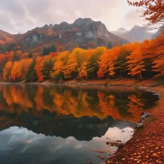 fall aesthetic wallpaper iphone