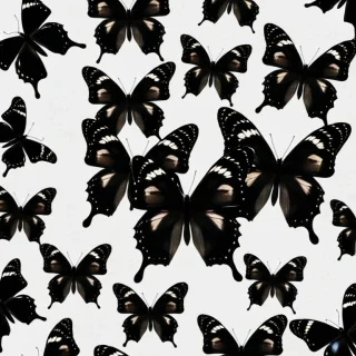 black butterfly aesthetic