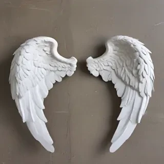 picture of angel wings