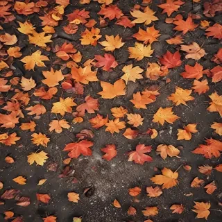 autumn background iphone