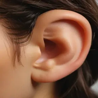 ears png