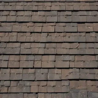 picture of shingles