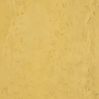 plain yellow bg