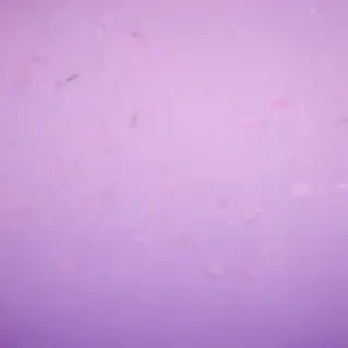 pastel purple wallpaper iphone