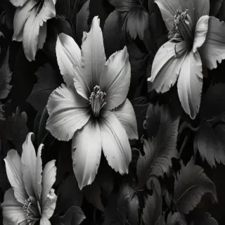 wallpaper for phone black