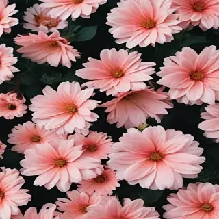 aesthetic backgrounds flowers