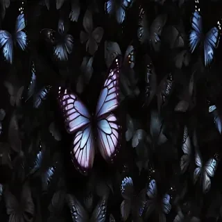 black wallpaper butterfly