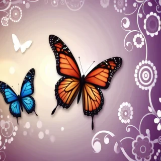 butterfly screen wallpaper